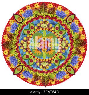 Mandala - primavera autunno ed estate a rotazione circolare - concetto astratto. Collage isolato fatto a mano fatto di piante e fiori Foto Stock