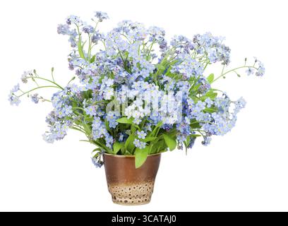 Bouquet di fiori blu di primavera Forget-me-nots (Myosotis) in un piccolo vetro di argilla isolato su bianco Foto Stock