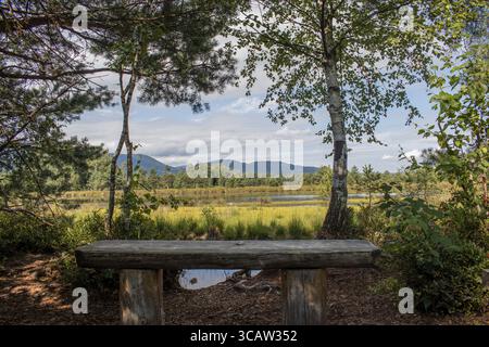 Panchina in legno nella foresta con vista sulla brughiera e sulle montagne, atmosfera tranquilla sotto un cielo limpido, stazione della brughiera di Nicklheim, Germania Foto Stock