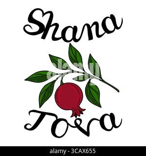 Elegante illustrazione vettoriale di un ramo di melograno con scritta Shana Tova, perfetta per biglietti d'auguri Rosh Hashanah e disegni festivi. Illustrazione Vettoriale