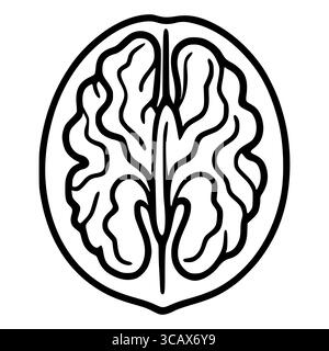 Un'illustrazione vettoriale di un noce tagliato a metà, che mostra una sezione trasversale dettagliata con linee intricate e ondulate che raffigurano la consistenza dei semi, presentata in una Illustrazione Vettoriale