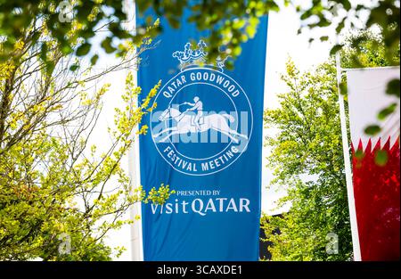 Incontro del Qatar Goodwood Festival 2025 all'ippodromo di Goodwood, Chichester - bandiere di Goodwood che volano sul campo Foto Stock
