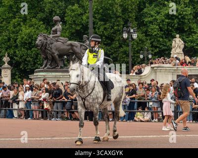 Un ufficiale a cavallo della polizia metropolitana in servizio in una parata reale fuori Buckingham Palace, con folle di turisti che guardano, Londra, Regno Unito. Foto Stock