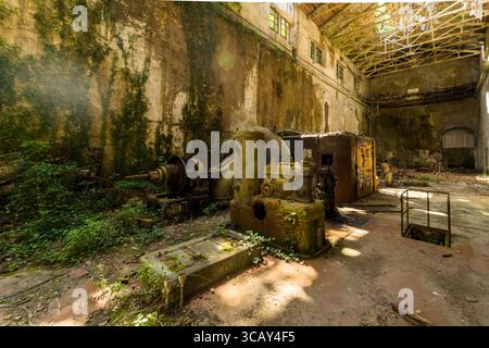 Edificio industriale abbandonato illuminato dal sole con macchinari arrugginiti e vegetazione sovrastata che mostra il degrado urbano e la storia dimenticata Foto Stock