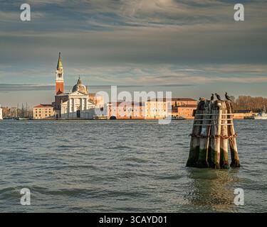 L'isola di San Giorgio, vista da Punta della Dogana in un soleggiato pomeriggio invernale. Cormorani sul bricolo (pali di ormeggio) in primo piano. Veni Foto Stock