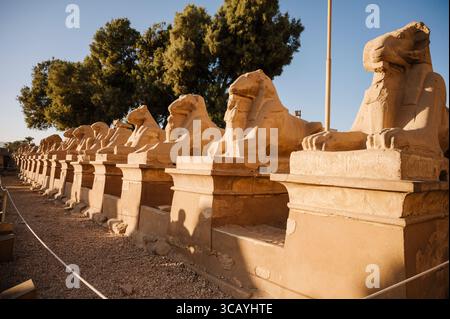 Gli iconici templi di Luxor e Karnak, siti monumentali dell'antico Egitto Foto Stock