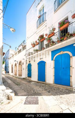 Una strada nel centro storico di Peschici con le sue tipiche case bianche. Penisola del Gargano, Puglia o Puglia, Italia, Europa Foto Stock