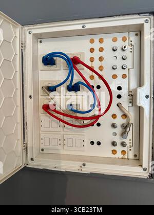 Pannello dei circuiti elettrici con cablaggio rosso e blu all'interno di una scatola di distribuzione. Foto Stock