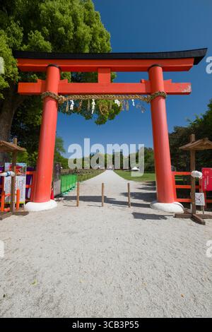 Una vivace porta torii giapponese rossa si erge alto, che conduce lungo un tranquillo sentiero circondato da lussureggiante vegetazione sotto un cielo azzurro e limpido, simboleggiando la cultura Foto Stock