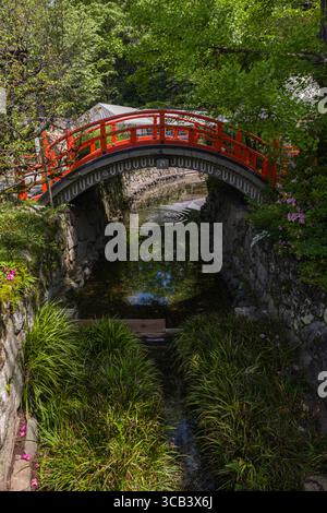 Un tranquillo giardino giapponese caratterizzato da un suggestivo ponte ad arco rosso su un tranquillo corso d'acqua, circondato da vibranti frontoni verdi e pareti in pietra. Foto Stock