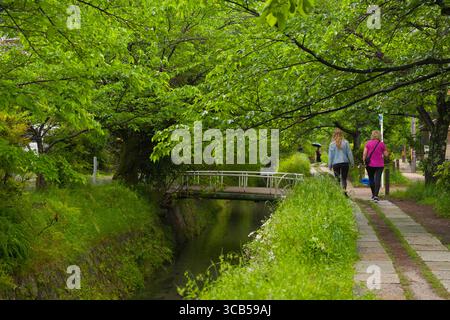 Due persone camminano lungo un sentiero filosofo fiancheggiato da vegetazione lussureggiante e rami sospesi, creando un'atmosfera serena e tranquilla, Kyoto, Giappone Foto Stock
