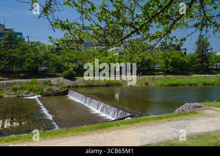 Scena sul fiume Kamo caratterizzata da una piccola cascata, lussureggianti alberi verdi e uno sfondo urbano. Le persone si rilassano e si godono i tranquilli dintorni naturali. Sakyo W. Foto Stock