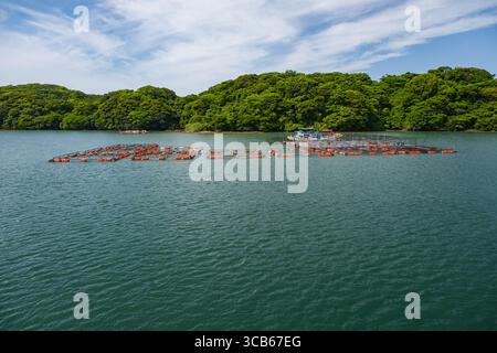 Un tranquillo scenario aereo di un allevamento di pesci che galleggia in acque calme, circondato da una lussureggiante foresta verde sotto un cielo blu cristallino, Sasebo, Giappone Foto Stock