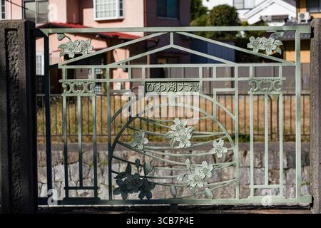 Cancello artistico metallico caratterizzato da intricati disegni floreali ed estetica tradizionale, situato in un pittoresco quartiere residenziale. Foto Stock