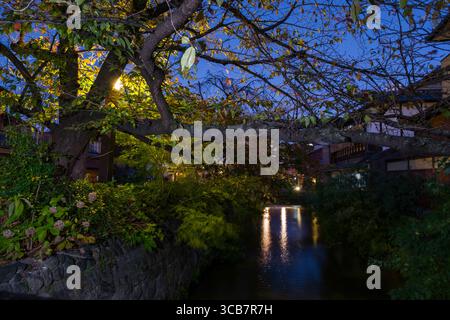 Il fiume Shirakawa al crepuscolo, circondato da lussureggianti alberi verdi e da strutture illuminate nelle vicinanze. Perfetto per evocare calma e riflessi artistici. Foto Stock