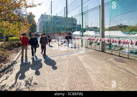 Durante il festival autunnale dell'Università di Kyoto, le persone passeggiano lungo una passerella soleggiata accanto alle bancarelle del mercato all'aperto. Il fogliame autunnale di stagione aggiunge fascino al t Foto Stock
