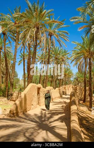 Arabia Saudita, al Ula, donna saudita in abaya nera che cammina su una strada sterrata attraverso un palmeto di datteri Foto Stock