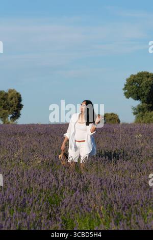 Una donna cammina in un campo di lavanda. Indossa una camicia bianca e pantaloncini corti Foto Stock