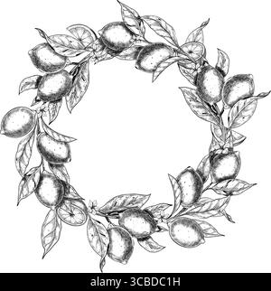 Illustrazione vettoriale di ghirlanda di limone con rami, foglie e agrumi. Incisione di Lime realizzata con inchiostro nero. Incisione per imballaggio, inviti, branding per alimenti e design di etichette. Illustrazione Vettoriale