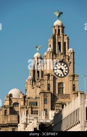 Torre dell'orologio del Royal Liver Building con statue di Liver Bird, un'icona sul lungomare di Liverpool e sito patrimonio dell'umanità dell'UNESCO, Merseyside, Inghilterra, Regno Unito. Foto Stock