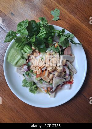 Piatto tailandese di insalata piccante di Vermicelli di vetro con maiale, salsiccia e arachidi Foto Stock