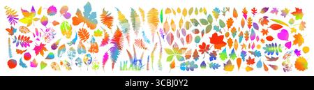 Set di foglie colorate di alberi diversi . disegnato a mano. Non ai, illustrazione vettoriale Illustrazione Vettoriale