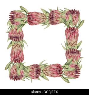 Cornice floreale ad acquerello realizzata con densa fiori rosa protea e fogliame verde in stile botanico. Perfetto per inviti, articoli di cancelleria per matrimoni, packaging, design cosmetico e prodotti a tema ecologico. Foto Stock