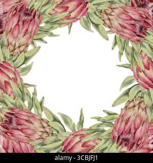 Cornice floreale ad acquerello realizzata con densa fiori rosa protea e fogliame verde in stile botanico. Perfetto per inviti, articoli di cancelleria per matrimoni, packaging, design cosmetico e prodotti a tema ecologico. Foto Stock