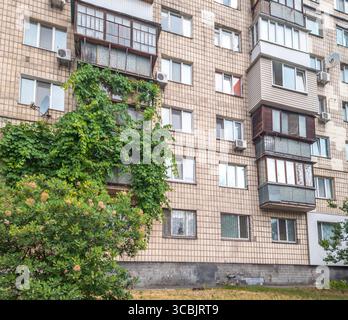 Lush green ivy gracefully climbs the facade of a residential building, adding a touch of nature to the urban environment, creating a vibrant contrast Foto Stock