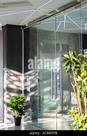 Interno luminoso e accogliente dell'ufficio e grandi piante in vaso. Giornata di sole. primo piano sfocato. Foto Stock