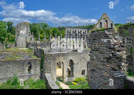 Rovine dell'Abbaye de Villers del XIII secolo, ex abbazia cistercense nella città di Villers-la-Ville, Brabante Vallone, Belgio Foto Stock
