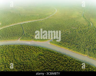 Vista aerea dei tortuosi corsi d'acqua che attraversano la fitta foresta di mangrovie verdi, Sundarban, Khulna Division, Bangladesh. Foto Stock
