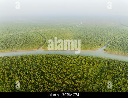 Veduta aerea di una vivace foresta di mangrovie verdi tagliata in due da tortuosi corsi d'acqua, un tranquillo arazzo di artigianato naturale, Sundarban, Khulna Division, Bangladesh. Foto Stock