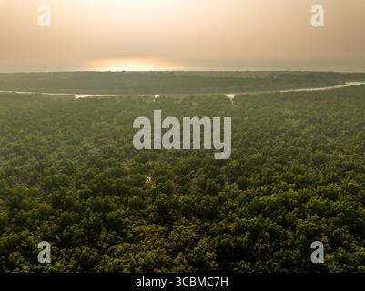 Vista aerea di una fitta foresta verde che incontra un ampio fiume sotto un cielo nebuloso, l'acqua che riflette la luce, Sundarban, divisione Khulna, Bangladesh. Foto Stock