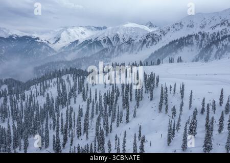 La vista aerea dei pini innevati si erge a picco sullo sfondo del maestoso Himalaya innevato, un tranquillo panorama invernale, Gulmarg, Jammu e Kashmir, India. Foto Stock