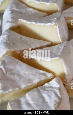 Formaggio Brie, un formaggio francese morbido, su un asse di legno con muffa bianca sulla crosta. Foto Stock