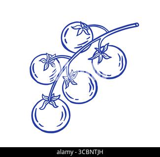 Disegna a mano la figura del vettore del pomodoro. Verdure biologiche in stile doodle. Cibo sano. Illustrazione Vettoriale