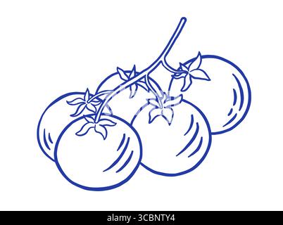 Disegnare a mano l'illustrazione del vettore vegetale del pomodoro. Cibo sano biologico. Mercato agricolo in stile Doodle Illustrazione Vettoriale