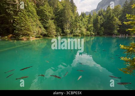 Un lago tranquillo con acque turchesi cristalline riflette la vibrante vegetazione che lo circonda. I pesci minuscoli nuotano sotto la superficie, mentre i visitatori si divertono Foto Stock