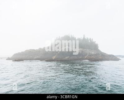 Piccola isola rocciosa coperta da alberi sempreverdi, circondata da una fitta nebbia sulle calme acque costiere, creando un'atmosfera misteriosa e serena. Foto Stock