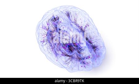 Illustrazione concettuale delle connessioni all'interno del cervello. Basato su tecniche avanzate di imaging del tensore di diffusione (DTI, Diffusion tensor Imaging) che utilizzano dati di risonanza magnetica reale (MRI, Real Magnetic Resonance Imaging). Foto Stock