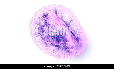 Illustrazione concettuale delle connessioni all'interno del cervello. Basato su tecniche avanzate di imaging del tensore di diffusione (DTI, Diffusion tensor Imaging) che utilizzano dati di risonanza magnetica reale (MRI, Real Magnetic Resonance Imaging). Foto Stock