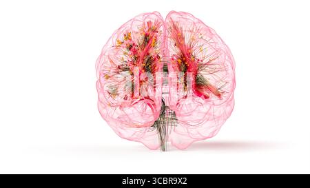 Illustrazione concettuale delle connessioni all'interno del cervello. Basato su tecniche avanzate di imaging del tensore di diffusione (DTI, Diffusion tensor Imaging) che utilizzano dati di risonanza magnetica reale (MRI, Real Magnetic Resonance Imaging). Foto Stock