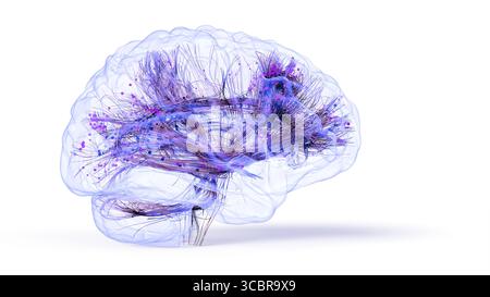 Illustrazione concettuale delle connessioni all'interno del cervello. Basato su tecniche avanzate di imaging del tensore di diffusione (DTI, Diffusion tensor Imaging) che utilizzano dati di risonanza magnetica reale (MRI, Real Magnetic Resonance Imaging). Foto Stock