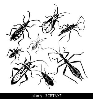 Sagome di insetti che mostrano Assassin Bug, specie di insetti assortite su sfondo bianco Illustrazione Vettoriale