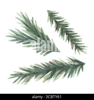 Rami di abete impostati in un semplice disegno di schizzo. Illustrazione ad acquerello dipinta a mano isolata su sfondo bianco per biglietti di Natale e decorazioni invernali Foto Stock