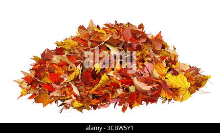 Mucchio di foglie colorate in autunno isolato su sfondo bianco. Fogliame colorato di foglie d'acero nella stagione autunnale. Illustrazione 3D Foto Stock