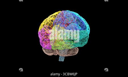 Visualizzazione a reticolo dell'emisfero destro del cervello umano, mostrata da una vista posterolaterale con lobi colorati e cervelletto distinti, rende Foto Stock