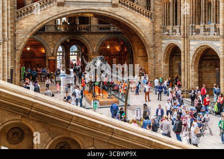 LONDRA, GRAN BRETAGNA - 22 MAGGIO 2014: Questa è la sala centrale del Museo di storia naturale. Foto Stock
