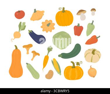 Set di cartoni animati di verdure agricole biologiche. Raccolta autunnale di zucca, zucchine, cavolo, zucca, patisson, carota, cipolla, pepe, funghi. Vettore piatto Illustrazione Vettoriale